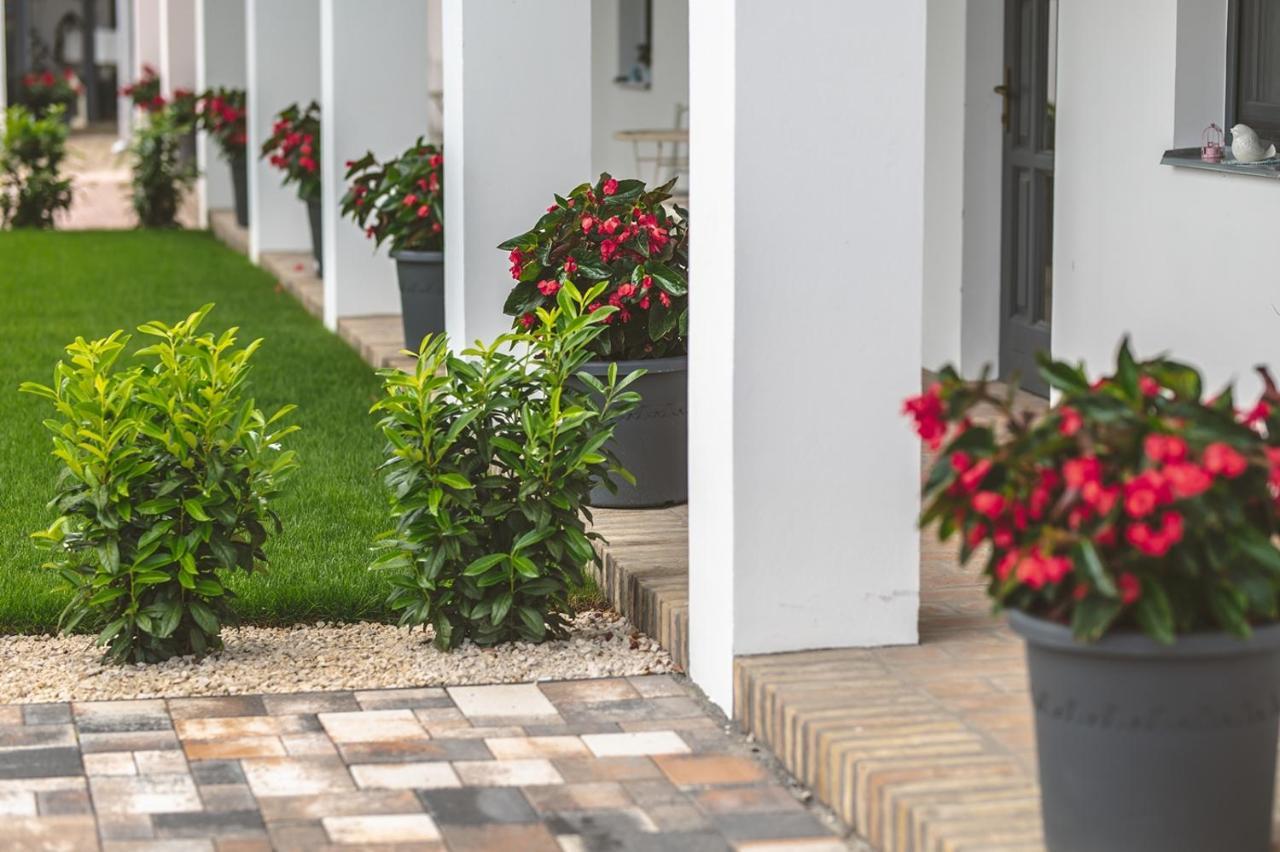 Palkonyha Panzio Speiz Gasztromuhely Bed and Breakfast Palkonya Εξωτερικό φωτογραφία